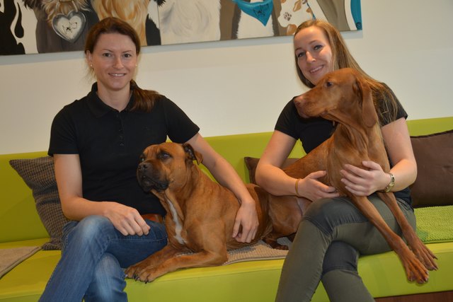 Tierärztin Victoria Kuntner, "Hotel-Direktorin" Nadia-Maria Gattringer und Gäste Maurice und Lilly.