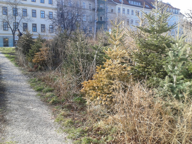 davor am 8.2.2016