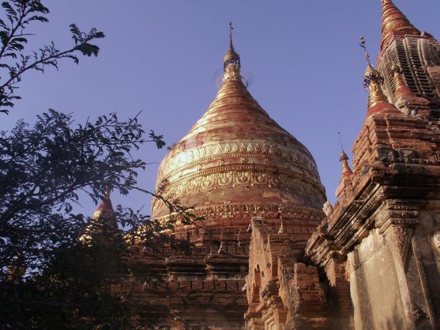 Foto: Günter Zdravkowitsch ©
