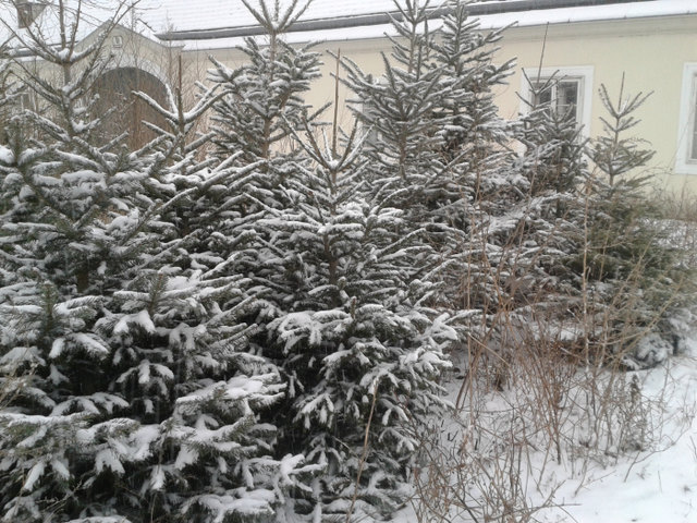 davor am 22.1.2016