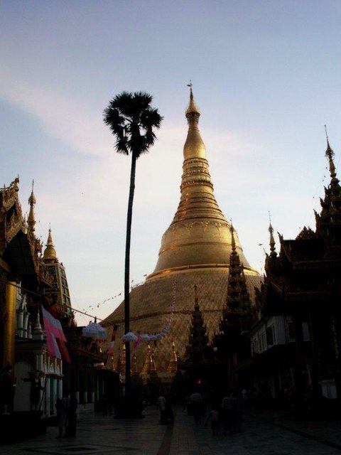 Foto: Günter Zdravkowitsch ©