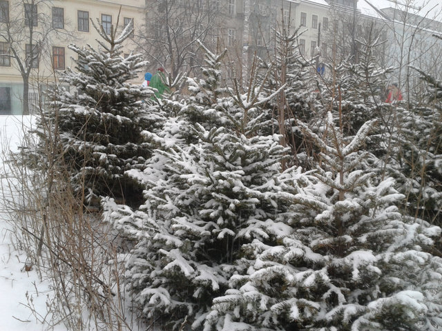 davor am 22.1.2016
