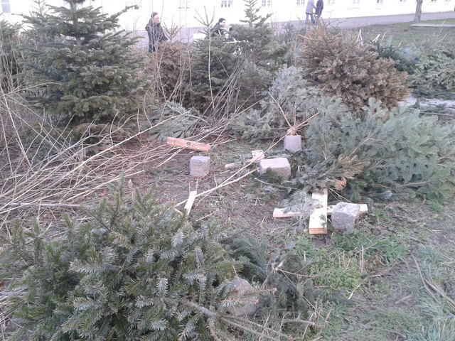 danach am 11.2.2016