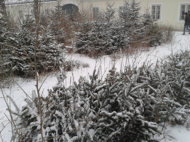 davor am 22.1.2016