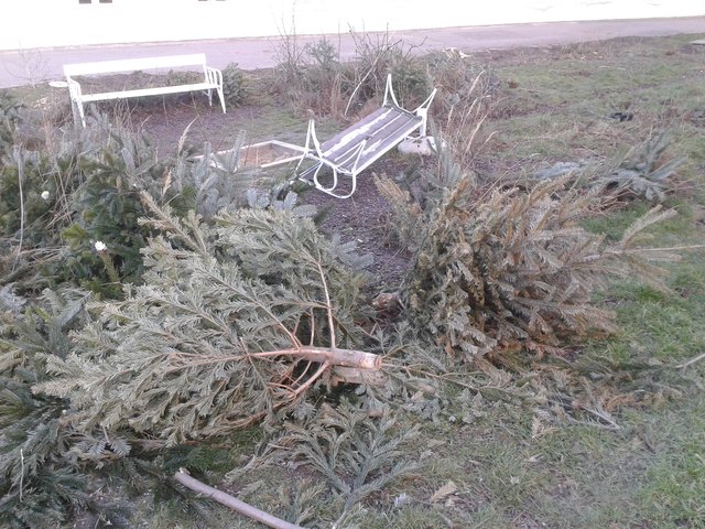 danach am 11.2.2016