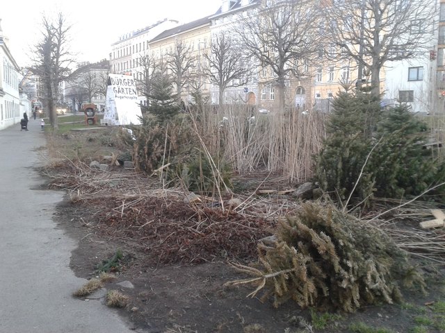 danach am 11.2.2016