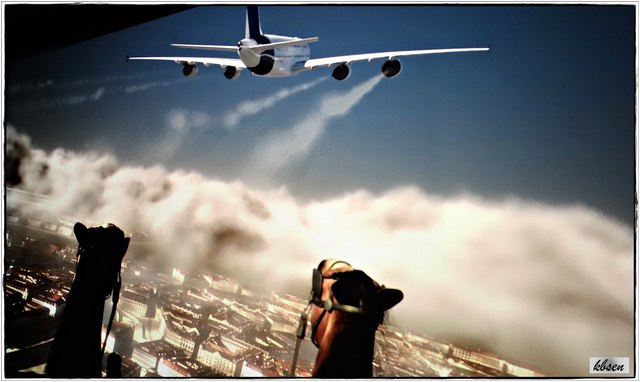 Beim Trab über Wien von einem Überflieger überholt