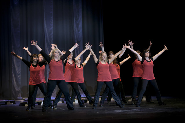 Show 2014 | Foto: Kurt Ganglbauer