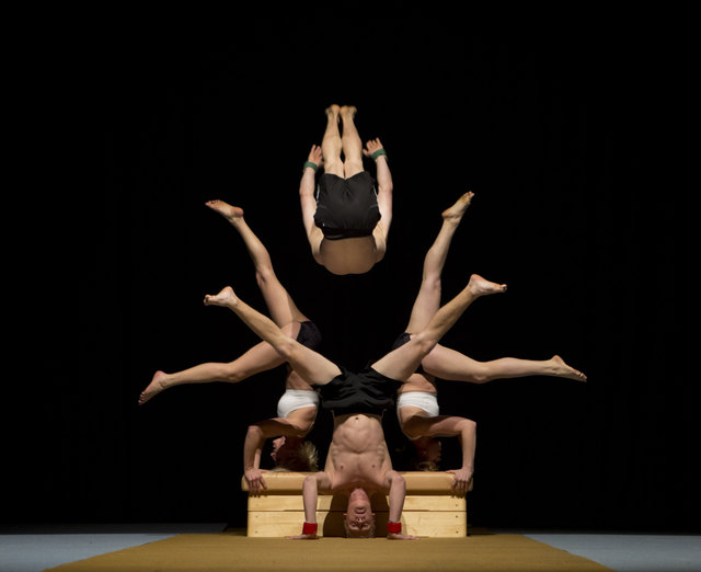 Show 2014 | Foto: Kurt Ganglbauer