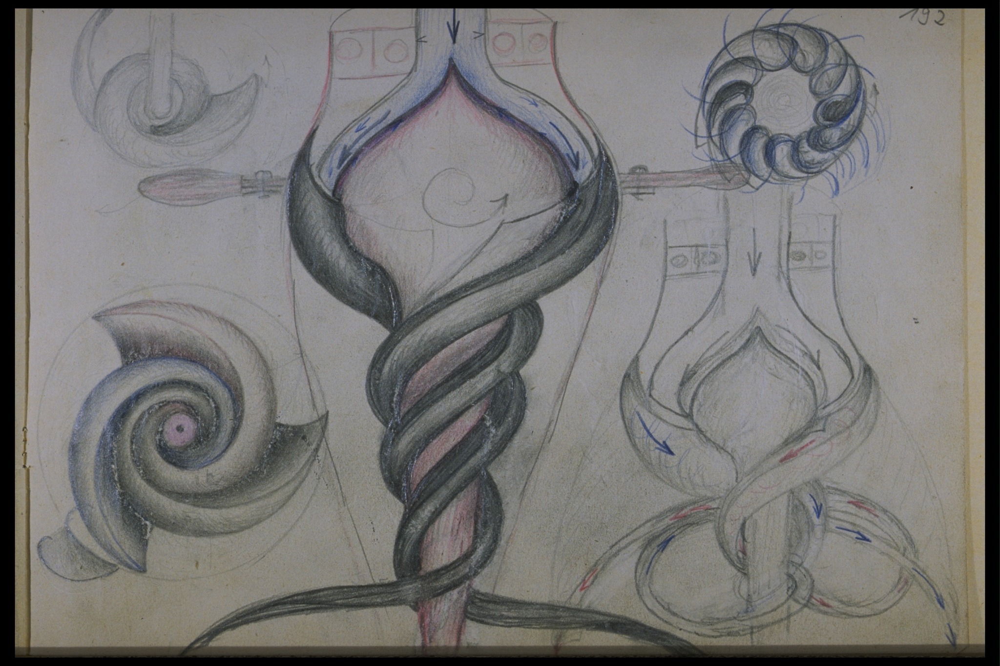 SchaubergerSkizzen in Kalifornien ausgestellt Salzkammergut