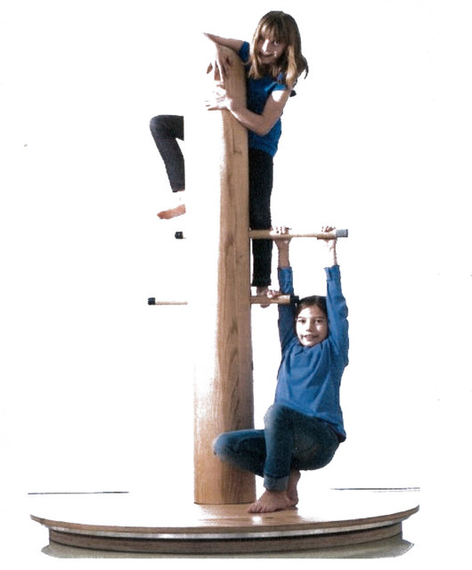 Der Evotrainer soll zum Klettern verleiten | Foto: KK