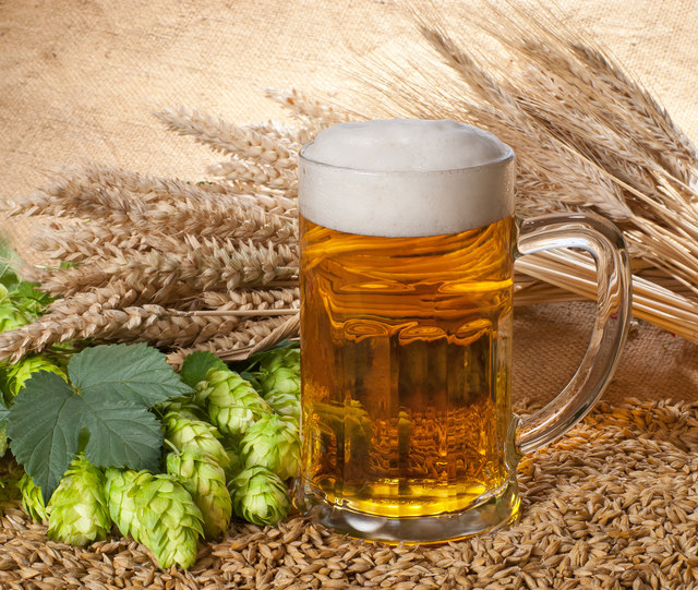 Foto: Václav Mach - Fotolia