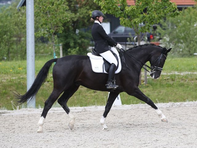 Beim Dressurbewerb mit dabei: Jasmin Renz vom Reiterhof zum Penz auf "Shannon" | Foto: Veranstalter