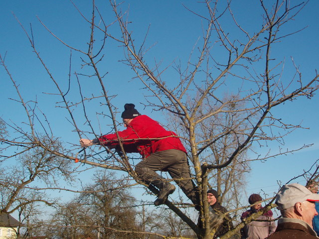 Ernst Junger | Foto: BIO AUSTRIA OÖ