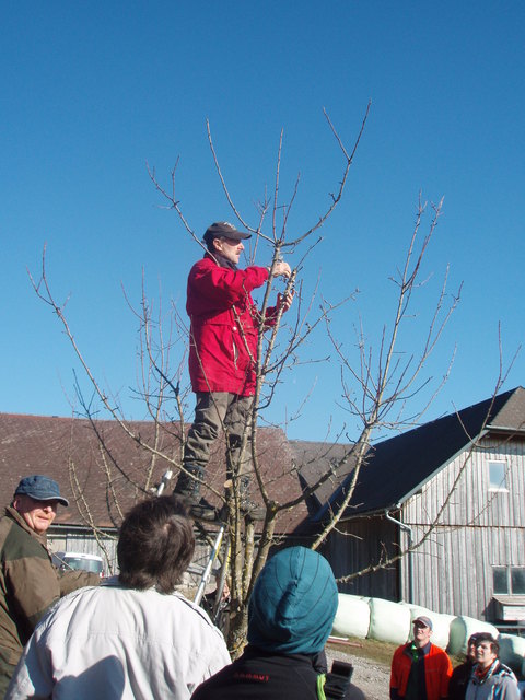 Ernst Junger | Foto: BIO AUSTRIA OÖ