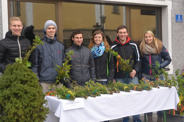 Einen Tag vor dem Palmsonntag, am 19. März findet in Peilstein ein Palmbuschenverkauf statt. | Foto: Foto: privat