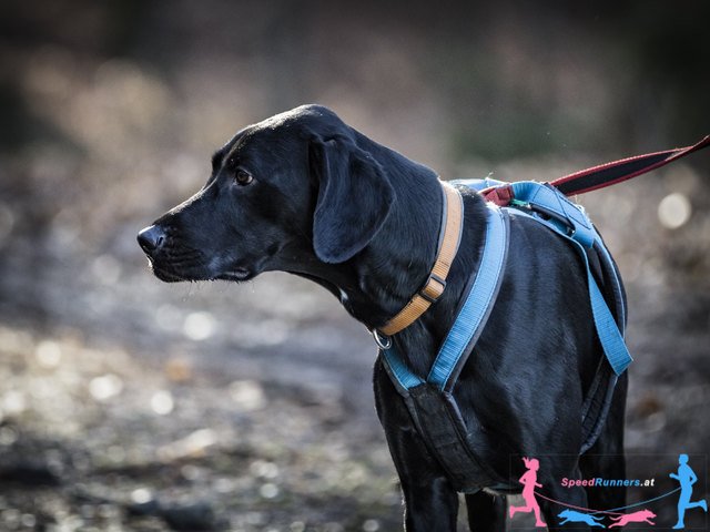 © Die Wiener Lichtbildmanufaktur