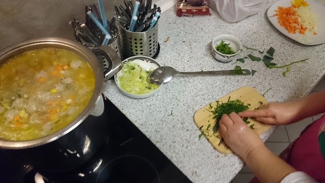 Rumänischer Kochabend am 04.03. 2016: Einmal mehr ein weiterer erfolgreicher internationaler Kochabend im Familienzentrum Dialog, Melicharstr. 2, 4020 Linz am 04. 03. 2016