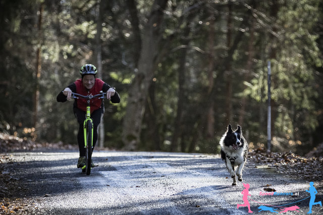 Scooter © Die Wiener Lichtbildmanufaktur