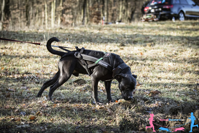 Bruno © Die Wiener Lichtbildmanufaktur