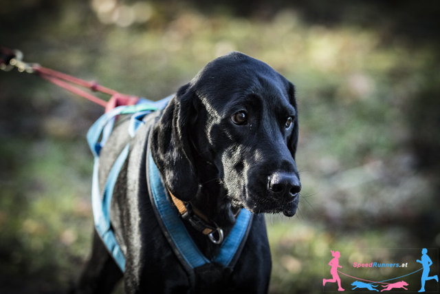 © Die Wiener Lichtbildmanufaktur