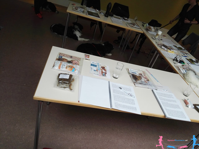 Mit Hund im Seminarraum ist es gleich lustiger © SpeedRunners.at