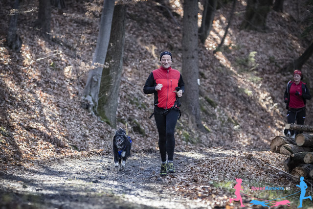 Canicross, Motte und Herrchen © Die Wiener Lichtbildmanufaktur