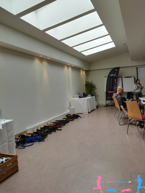 Zuggeschirre aufgelegt © SpeedRunners.at