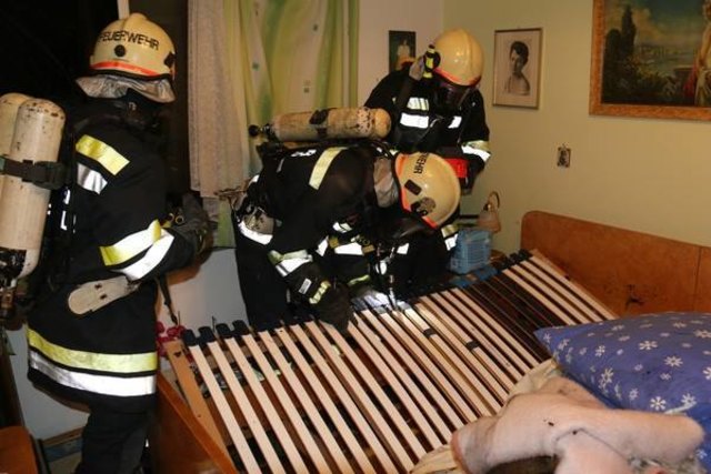 Eine überhitzte Heizmatte verursachte den Brand | Foto: BFKDO Lilienfeld