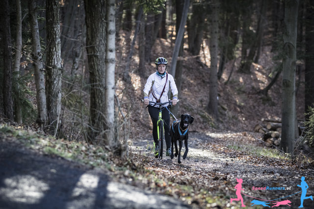 Scooterjøring © Die Wiener Lichtbildmanufaktur
