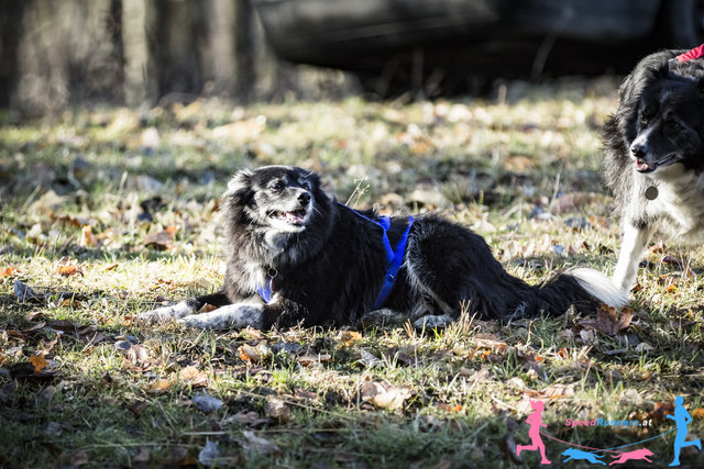Entspannung danach © Die Wiener Lichtbildmanufaktur