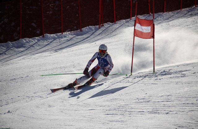 Elena Exenberger Riesentorlauf | Foto: SLSV