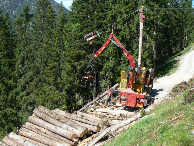 Bei der Nutzung des Waldes setzt man auf Nachhaltigkeit. Es wird nur so viel Holz entnommen, wie nachwächst. | Foto: BFI