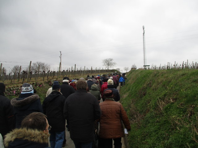 Dekanatskreuzweg 2016