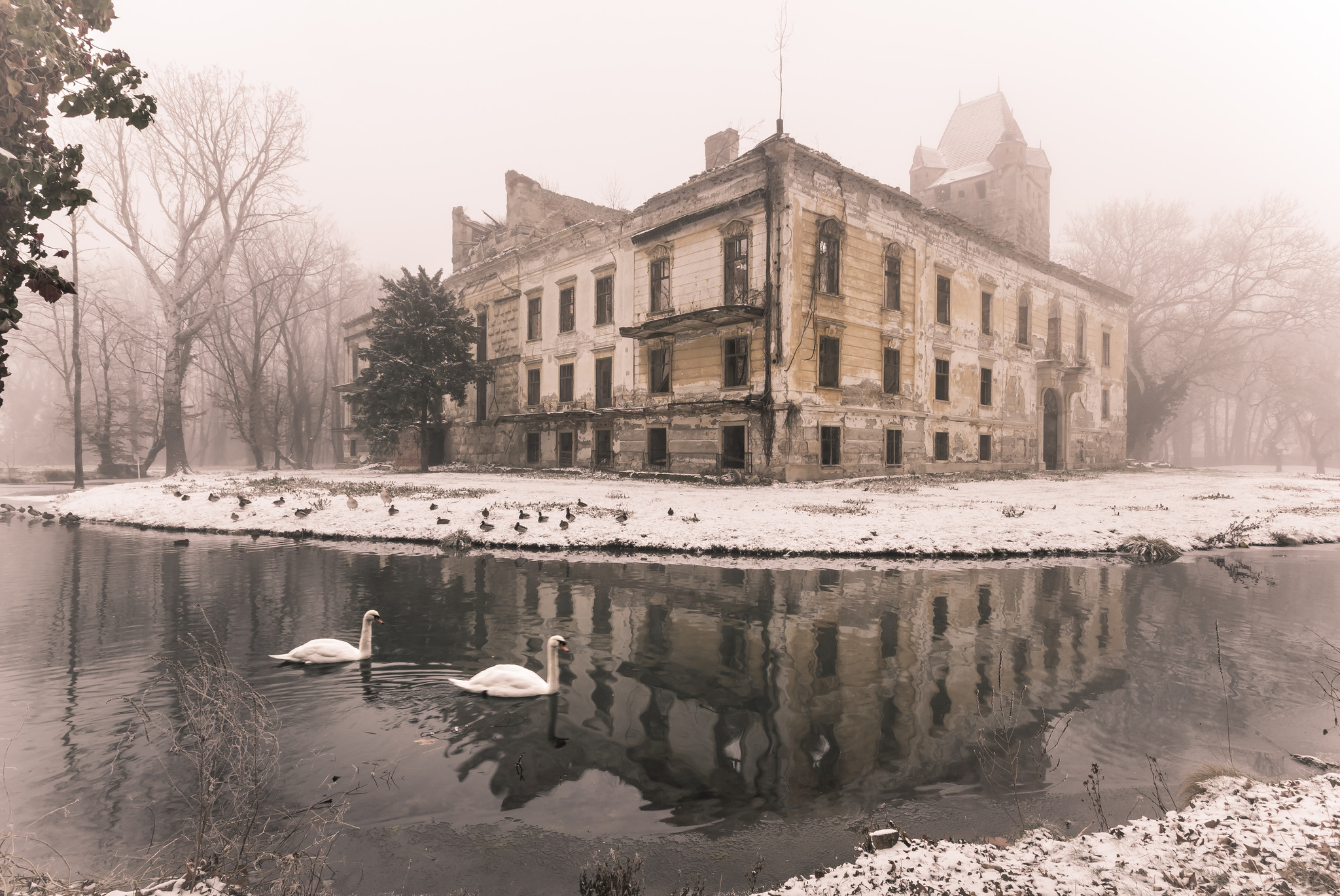 Schloss Pottendorf - Steinfeld