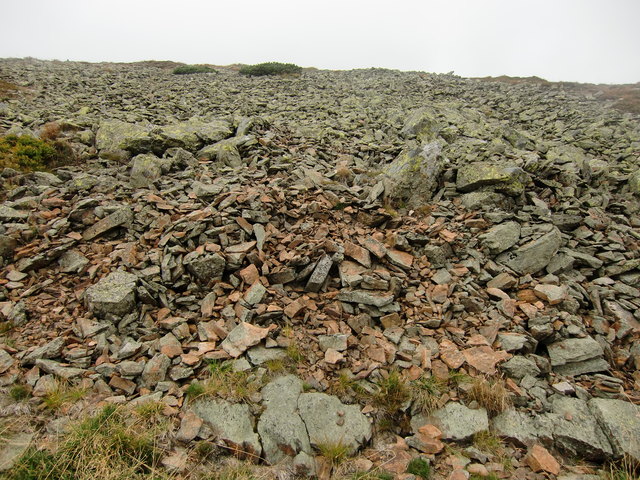 Kilometerlange Steinhalden gibt es im Riesengebirge