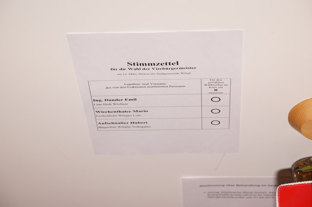 Drei Gemeinderäte ließen sich zur Wahl der beiden Bürgermeisterstellvertreter aufstellen.
