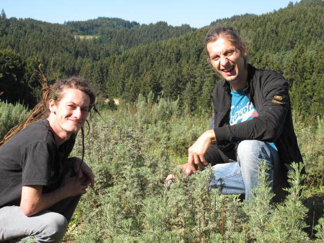 Michael Luftensteiner aus Pabneukirchen und Peter Leitner mit dem Colakraut. | Foto: Privat