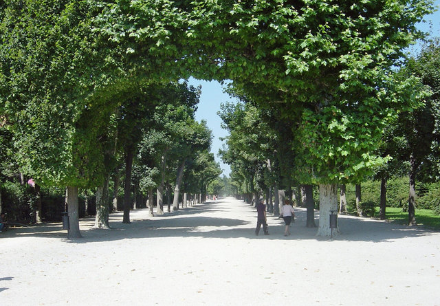 Allee in Schönbrunn | Foto: Von Stejenlis1 in der Wikipedia auf Deutsch(Originaltext: Stejenlis) - Eigenes Werk (Originaltext: selbst erstellt), Gemeinfrei, https://commons.wikimedia.org/w/index.php?curid=3933218