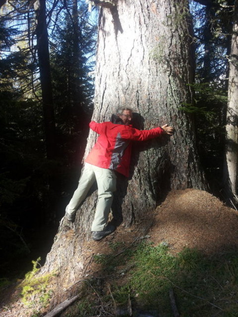Holz gibt "KRAFT"!!!