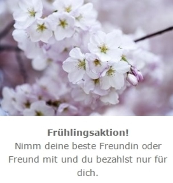 Singles salzburg umgebung