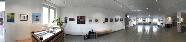 Unter dem Titel "Frieden" stellten zurzeit syrische Künstler ihre Kunstwerke in der HTL in der Anichstraße aus.  | Foto: MeinBezirk