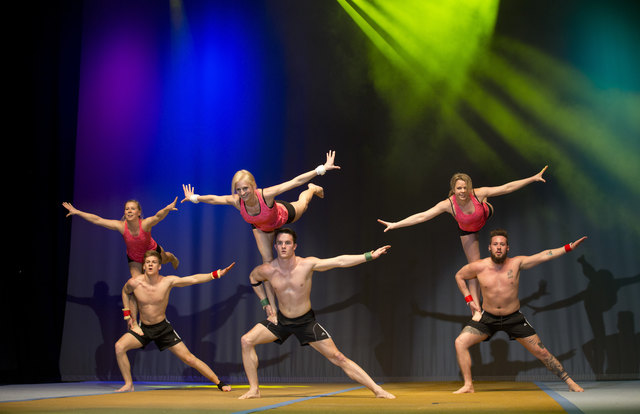 Show 2016 | Foto: Kurt Ganglbauer