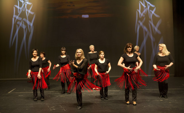 Show 2016 | Foto: Kurt Ganglbauer