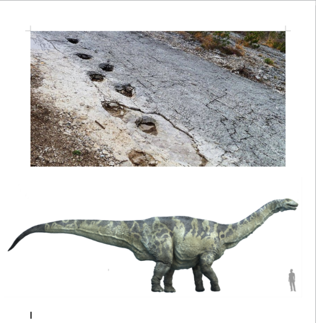 Versteinerte Dinosaurierspuren in Rovereto, Italien | Foto: wikipedia