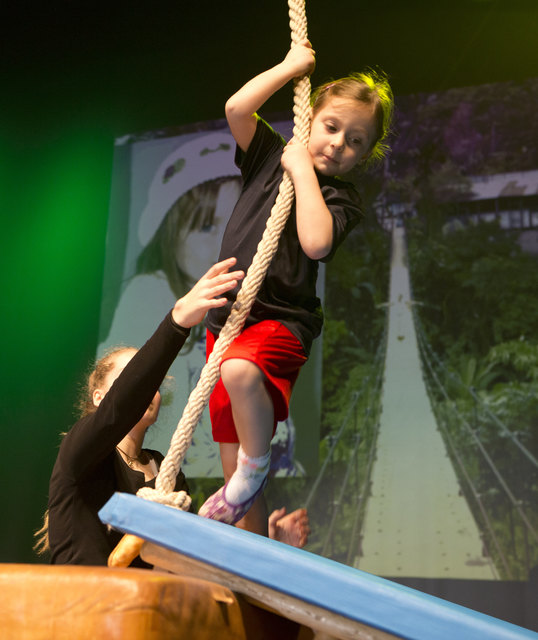 Show 2016 | Foto: Kurt Ganglbauer