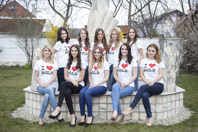 Die zehn Finalistinnen beim gemeinsamen Shooting: vorne: Jenny Gonter, Vanessa Prickler, Valerie Hautzinger, Julia Biritz, Marcela Schmidt
hinten: Viviane Reinhardt, Victoria Holzhammer, Margot Pölz, Chiara di Bernardo, Patricia Freyler | Foto: MAC