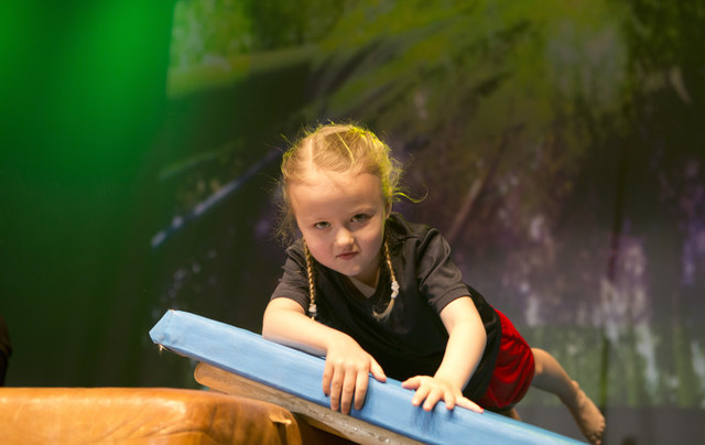 Show 2016 | Foto: Kurt Ganglbauer