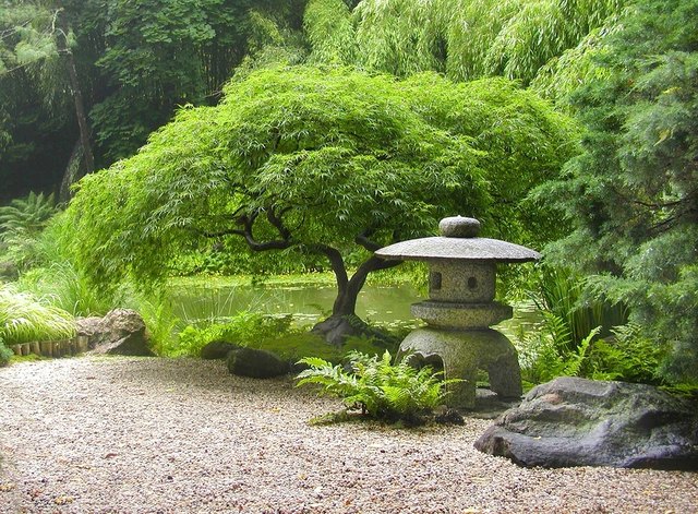 Zen Gärten immer beliebter - Innere Stadt