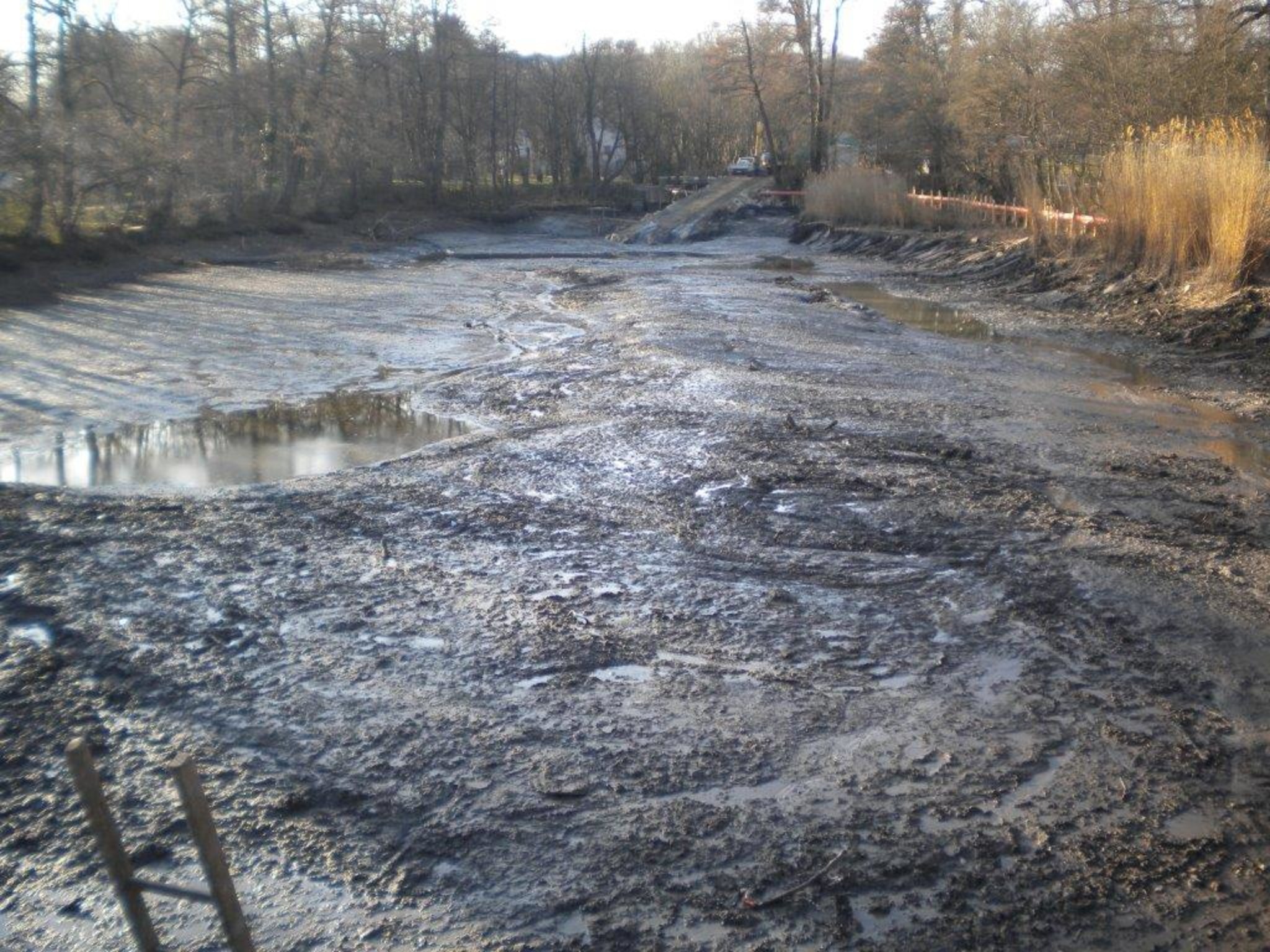 Lainzer Teich Bauarbeiten für Ärger Hietzing